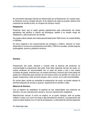 Tema: Manejo de Pastos y Sistemas Silvopastoriles
Dr. Otoniel López López
Página 51
El crecimiento del pasto Gamba es influenciado por el fotoperíodo. En nuestro país,
su floración ocurre a finales del año. Si se dispone de riego se pueden obtener dos
cosechas de semilla al año, en el lapso de octubre–marzo.
Adaptación
Podemos decir que el pasto gamba rápidamente está colonizando las áreas
ganaderas del pacífico e interior de Nicaragua, debido a su amplio rango de
adaptación y alta producción de semilla.
Se puede cultivar desde cero hasta aproximadamente 1600 msnm, en suelos fértiles
e infértiles.
Es poco exigente a los requerimientos de nitrógeno y fósforo, alcanza un buen
desarrollo en zonas con precipitación entre 600 y 1500 mm anuales, resiste sequías
prolongadas, quema y pastoreo continuo.
Siembra
Preparación del suelo, siempre y cuando esté al alcance del productor es
recomendable la preparación del suelo. Esta labor depende del tipo de suelo, en
suelos arcillosos es recomendable dar un pase de arado y dos o tres pases
cruzados de grada, mientras que, en suelos arenosos y francos dos o tres pases de
grada son suficientes para proveer de una buena cama a la semilla. En caso de no
poseer maquinaria y sólo se tiene bueyes, arar y surcar, es lo más recomendable.
En zonas altas, donde es imposible la preparación de suelo, se puede realizar la
siembra después de socolar y quemar, esparciendo la semilla a voleo.
Material de Siembra
Con el objetivo de establecer el pastizal se han desarrollado dos sistemas de
siembra: uno por reproducción sexual y, otro por reproducción vegetativa.
Reproducción sexual: A como se explicó, en el pasto Jaragua, esta se puede
realizar a voleo y en surco con baja o alta densidad de siembra. La preparación del
suelo se debe realizar con un mes de anticipación. La densidad de siembra depende
 