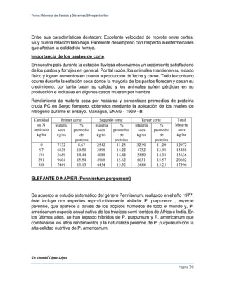 Tema: Manejo de Pastos y Sistemas Silvopastoriles
Dr. Otoniel López López
Página 56
Entre sus características destacan: Excelente velocidad de rebrote entre cortes.
Muy buena relación tallo-hoja. Excelente desempeño con respecto a enfermedades
que afectan la calidad de forraje.
Importancia de los pastos de corte:
En nuestro país durante la estación lluviosa observamos un crecimiento satisfactorio
de los pastos y forrajes en general. Por tal razón, los animales mantienen su estado
físico y logran aumentos en cuanto a producción de leche y carne. Todo lo contrario
ocurre durante la estación seca donde la mayoría de los pastos florecen y cesan su
crecimiento, por tanto bajan su calidad y los animales sufren pérdidas en su
producción e inclusive en algunos casos mueren por hambre
Rendimiento de materia seca por hectárea y porcentajes promedios de proteína
cruda PC en Sorgo forrajero, obtenidos mediante la aplicación de los niveles de
nitrógeno durante el ensayo. Managua, ENAG - 1969 - B.
Cantidad
de N
aplicado
kg/ha
Primer corte Segundo corte Tercer corte Total
Materia
seca
kg/ha
Materia
seca
kg/ha
%
promedio
de
proteína
Materia
seca
kg/ha
%
promedio
de
proteína
Materia
seca
kg/ha
%
promedio
de
proteína
0
97
194
291
388
7132
6838
5669
9604
7449
8.67
10.50
14.44
15.54
15.13
2542
3898
4088
4968
4454
11.25
14.22
14.44
15.62
15.32
32.90
4752
5880
6031
5488
11.20
13.98
14.38
15.57
15.25
12972
15488
15636
20602
17396
ELEFANTE O NAPIER (Pennisetum purpureum)
De acuerdo al estudio sistemático del género Pennisetum, realizado en el año 1977,
éste incluye dos especies reproductivamente aislada: P. purpureum , especie
perenne, que aparece a través de los trópicos húmedos de todo el mundo y, P.
americanum especie anual nativa de los trópicos semi tórridos de África e India. En
los últimos años, se han logrado híbridos de P. purpureum y P. americanum que
combinaron los altos rendimientos y la naturaleza perenne de P. purpureum con la
alta calidad nutritiva de P. americanum.
 