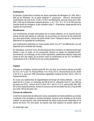 Tema: Manejo de Pastos y Sistemas Silvopastoriles
Dr. Otoniel López López
Página 58
Fertilización
Al estudiar (Costa Rica) el efecto de dosis crecientes de Nitrógeno (0; 200; 400 y,
600 kg de N/ha/año, en el pasto elefante P. purpureum . Schum), encontraron
rendimientos de 5.45; 8.23; 12.30 y 14.09 T de MS/ha/año, para las dosis de 0; 200;
400 y 600 kg de N/ha/año respectivamente, y; 8,7; 9.0; 10 y 10 % de PB para las
mismas dosis de nitrógeno, al ser cortados cada 7 – 9 semanas, dependiendo de la
rapidez de crecimiento.
Rendimiento
Los rendimientos anuales alcanzados por la hierba elefante, en la mayoría de los
países donde esta planta es cultivada, se encuentran por encima de los obtenidos
por otras gramíneas, incluso de parte similar como Tripsacum laxum y Saccharum
officinarum en igualdad de condiciones.
Los rendimientos obtenidos en Cuba oscilan entre 16 y 27 T de MS/ha/año, la cual
depende de la variedad del manejo.
En Nicaragua, el primer corte, 60 días después de la siembra, es relativamente bajo
debido a que el pasto no ha recuperado todavía su etapa de establecimiento,
aumentando, sin embargo, en los cortes siguientes, pudiéndose obtener hasta seis
cortes al año (sin riego). En el primer corte su rendimiento es de 10 T de MS/mz,
aumentando a 25 T de MV/mz en los cortes posteriores.
Calidad
Estudios en el Napier, cortado cada 28, 35 y 42 días, se encontró valores en la MS
de 14.5; 19.7 y 22.1 %. Para la PB de 11.9; 10.9 y 9.0 %. Para la FB de 32.40; 30.95
y 46.10 % y, para los TND (Nutrientes digestibles totales) de 69.2; 62.2 y 56.8 %
respectivamente.
En Cuba, los coeficientes de digestibilidad del forraje de hierba elefante, - con una
edad de 45 ± 2 días, un contenido de PB de 9.9 %, utilizando toros F1 con 280 kg
de peso vivo (PV), - fueron de 57.0; 60.0; 54.1; 49.3 y 71.0 %, para la MS, MO, PB,
EE y ELN respectivamente, donde el consumo de los animales fue de 2.3 kg de MS
por cada 100 kg de peso vivo.
Formas de utilización
La forma fundamental de utilización de las variedades de hierba elefante es cortada
y ofrecida a los animales en canoas (forrajes), aunque como ensilaje es de buena
calidad; se aprovechan más racionalmente las altas producciones obtenidas en la
época de lluvia. Por otra parte, se reporta que esta especie se puede utilizar en
 