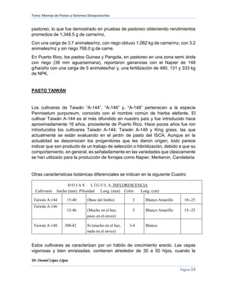 Tema: Manejo de Pastos y Sistemas Silvopastoriles
Dr. Otoniel López López
Página 59
pastoreo, lo que fue demostrado en pruebas de pastoreo obteniendo rendimientos
promedios de 1,348.5 g de carne/mz.
Con una carga de 3.7 animales/mz, con riego obtuvo 1,082 kg de carne/mz, con 3.2
animales/mz y sin riego 768.0 g de carne.
En Puerto Rico, los pastos Guinea y Pangola, en pastoreo en una zona semi árida
con riego (38 mm agua/semana), reportaron ganancias con el Napier de 148
g/ha/año con una carga de 5 animales/ha/ y, una fertilización de 480, 131 y 333 kg
de NPK.
PASTO TAIWÁN
Los cultivares de Taiwán “A-144”, “A-146” y, “A-148” pertenecen a la especie
Pennisetum purpureum, conocido con el nombre común de hierba elefante. El
cultivar Taiwán A-144 es el más difundido en nuestro país y fue introducido hace
aproximadamente 16 años, procedente de Puerto Rico. Hace pocos años fue ron
introducidos los cultivares Taiwán A-144; Taiwán A-148 y King grass, las que
actualmente se están evaluando en el jardín de pasto del ISCA. Aunque en la
actualidad se desconocen los progenitores que les dieron origen, todo parece
indicar que son producto de un trabajo de selección o hibridización, debido a que su
comportamiento, en general, es señaladamente en las variedades que clásicamente
se han utilizado para la producción de forrajes como Napier, Merkeron, Candelaria.
Otras características botánicas diferenciales se indican en la siguiente Cuadro
H O J A S L Í G U L A INFLORESCENCIA
Cultivares Ancho (mm) Pilosidad Long. (mm) Color Long. (cm)
Taiwán A-144 15-40 (Base del limbo) 3 Blanco Amarillo 18--25
Taiwán A-146
12-46 (Mucho en el haz,
poco en el envez)
5 Blanco Amarillo 15--25
Taiwán A-148 300-42 Si (mucho en el haz,
nada en el envez)
3-4 Blanco
Estos cultivares se caracterizan por un hábito de crecimiento erecto. Las cepas
vigorosas y bien enraizadas, contienen alrededor de 30 a 50 hijos, cuando la
 