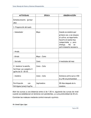 Tema: Manejo de Pastos y Sistemas Silvopastoriles
Dr. Otoniel López López
Página 66
ACTIVIDAD EPOCA OBSERVACIÓN
Establecimiento (primer
año)
1- Preparación del suelo
- Subsolador Mayo Cuando se siembra por
primera vez, o se renueva
el cultivo, es importante
hacerlo en suelos muy
compactados y poco
drenaje. No es
estrictamente necesario.
- Arada
- Grada Mayo – Junio
- Surcado Junio A mediados del mes
2- Sembrar la semilla,
fertilizar con completo 4
qq/ha de 12 -30-10.
Junio – Julio
- Siembra Junio – Julio Distancia entre surco 1.50
m y 40 cm profundidad.
Fertilización con
Nitrógeno (urea) 4 qq/ha
Septiembre 90 días después de la
siembre.
Abrir los surcos a una distancia entre sí de 1.50 m, siguiendo las curvas de nivel
cuando se establezcan en terrenos con pendientes, y a una profundidad de 40 cm.
Controlar las malezas mediante control manual o químico.
 