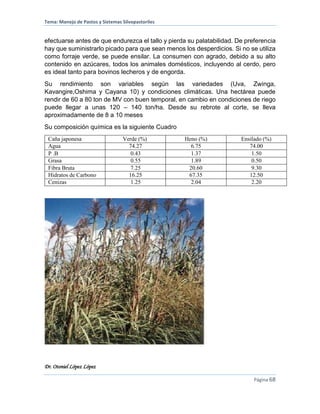 Tema: Manejo de Pastos y Sistemas Silvopastoriles
Dr. Otoniel López López
Página 68
efectuarse antes de que endurezca el tallo y pierda su palatabilidad. De preferencia
hay que suministrarlo picado para que sean menos los desperdicios. Si no se utiliza
como forraje verde, se puede ensilar. La consumen con agrado, debido a su alto
contenido en azúcares, todos los animales domésticos, incluyendo al cerdo, pero
es ideal tanto para bovinos lecheros y de engorda.
Su rendimiento son variables según las variedades (Uva, Zwinga,
Kavangire,Oshima y Cayana 10) y condiciones climáticas. Una hectárea puede
rendir de 60 a 80 ton de MV con buen temporal, en cambio en condiciones de riego
puede llegar a unas 120 – 140 ton/ha. Desde su rebrote al corte, se lleva
aproximadamente de 8 a 10 meses
Su composición química es la siguiente Cuadro
Caña japonesa Verde (%) Heno (%) Ensilado (%)
Agua 74.27 6.75 74.00
P .B 0.43 1.37 1.50
Grasa 0.55 1.89 0.50
Fibra Bruta 7.25 20.60 9.30
Hidratos de Carbono 16.25 67.35 12.50
Cenizas 1.25 2.04 2.20
 