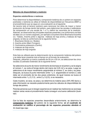 Tema: Manejo de Pastos y Sistemas Silvopastoriles
Dr. Otoniel López López
Página 75
Métodos de disponibilidad y medición
Especies estoloníferas o rastreras
Para determinar la disponibilidad y composición botánica de un potrero en especies
postradas o rastreras se utiliza el método de disponibilidad por frecuencia (MDF) y
el procedimiento que se sigue en una evaluación es el siguiente:
Se recorre todo el terreno (potrero) para reconocer los sitios de mayor y menor
producción de forraje dentro del potrero, para determinar las escalas o estándares
de comparación en una escala de 1 a 3 y definir los recorridos de la medición.
Además, se observarán las principales especies presentes y se conformará una lista
de ellas con un número asignado, por ejemplo si el potrero tiene Brachiaria brizantha
(cv. Toledo), Arachis pintoi o algunas malezas de hoja ancha y malezas de hoja
angosta, la lista se conformaría de la siguiente forma:
1. Brachiaria híbrido (cv. Mulato)
2. Arachis pintoi (Maní Forrajero)
3. Centrosema pubescens (Centro)
4. malezas de hoja ancha
5. malezas de hoja angosta
Esta lista se utilizará para la determinación de la composición botánica del potrero
y se debe tener presente todo el tiempo en el formato de evaluación.
Después, utilizando un marco cuadrado de 50 cm x 50 cm, se seleccionan las cinco
escalas (Cuadrados Estándar) de la siguiente forma:
Se selecciona el punto de menor rendimiento de biomasa en el potrero y se le asigna
el número 1, se corta el forraje dentro del marco de 0.25 m2 y se pesa. Luego se
selecciona el de mayor rendimiento asignándole el número 3, se corta y se pesa.
Después, se busca el punto intermedio entre 1 y 3 asignándole el número 2, este
debe ser el promedio de los dos pesos anteriores; de igual manera se busca el
intermedio entre 1 y 2 (1.5) , entre 2 y 3 (2.5), si es necesario.
Cada muestra, se seca, se pesa y se determina la materia seca (34% MS Aprox.);
esta información se necesita posteriormente para los cálculos de disponibilidad de
forraje del potrero.
Para las personas que no tengan experiencia en realizar las mediciones se aconseja
realizar varias veces el procedimiento hasta conseguir una buena calibración (buen
ojo).
Con la lista de especies presentes desarrollada anteriormente, se determina la
composición botánica del potrero de la siguiente forma: en el cuadrado de
evaluación se califica el porcentaje de las especies presentes dándole el
 