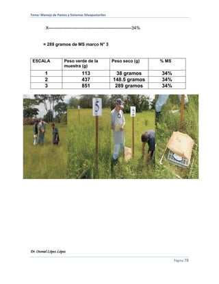 Tema: Manejo de Pastos y Sistemas Silvopastoriles
Dr. Otoniel López López
Página 78
X----------------------------------------------------------34%
= 289 gramos de MS marco N° 3
ESCALA Peso verde de la
muestra (g)
Peso seco (g) % MS
1 113 38 gramos 34%
2 437 148.5 gramos 34%
3 851 289 gramos 34%
 
