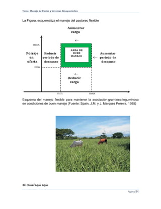 Tema: Manejo de Pastos y Sistemas Silvopastoriles
Dr. Otoniel López López
Página 84
La Figura, esquematiza el manejo del pastoreo flexible
Esquema del manejo flexible para mantener la asociación gramínea-leguminosa
en condiciones de buen manejo (Fuente: Spain, J.M. y J. Marques Pereira, 1985)
 