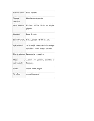 Nombre común      Pasto elefante


Nombre            Pennisetumpurpureum
científico

Otros nombres     Elefante, búfala, hierba de napier,
                  gigante.


Consumo           Pasto de corte.


Clima favorable Cálido, entre 0 y 1.700 m.s.n.m.


Tipo de suelo     Se da mejor en suelos fértiles aunque
                  se adapta a suelos de baja fertilidad.


Tipo de siembra Por material vegetativo,


Plagas          y Atacado por gusanos, candelilla y
enfermedades      bachacos.


Tolera            Suelos ácidos, sequía


No tolera         Aguachinamiento
 