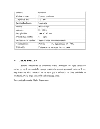 Familia:                    Gramínea
   Ciclo vegetativo:           Perenne, persistente
   Adaptación pH:              5.0 – 8.0
   Fertilidad del suelo:       Media alta
   Drenaje:                    Buen drenaje
   m.s.n.m.:                   0 – 1500 m
   Precipitación:              1000 a 3500 mm
   Densidad de siembra:        6 – 8 kg/ha
   Profundidad de siembra:     Sobre el suelo, ligeramente tapada
   Valor nutritivo:            Proteína 10 – 14 %, digestibilidad 60 – 70 %
   Utilización:                Pastoreo, corte y acarreo, barreras vivas




PASTO BRACHIARIA SP

       Gramínea estolonifera de crecimiento denso, pubescente de hojas lanceoladas
verdes con borde purpura, inflorescencia en panícula racimosa con raquis en forma de zig-
zag. Posee un anillo conspicuo en las hojas que lo diferencia de otras variedades de
brachiarias. Puede llegar a medir 90 centímetros de altura.

Se recomienda manejar 30 días de descanso.
 
