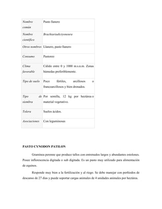 Nombre           Pasto llanero
común

Nombre           Brachiariadictyoneura
científico

Otros nombres Llanero, pasto llanero


Consumo          Pastoreo


Clima            Cálido entre 0 y 1000 m.s.n.m. Zonas
favorable        húmedas preferiblemente.


Tipo de suelo    Poco       fértiles,    arcillosos   o
                 francoarcillosos y bien drenados.


Tipo          de Por semilla, 12 kg por hectárea o
siembra          material vegetativo.


Tolera           Suelos ácidos.


Asociaciones     Con leguminosas




PASTO CYNODON PATILON

         Gramínea perenne que produce tallos con entrenudos largos y abundantes estolones.
Posee inflorescencia digitada o sub digitada. Es un pasto muy utilizado para alimentación
de equinos.

         Responde muy bien a la fertilización y al riego. Se debe manejar con perñiodos de
descanso de 27 días y puede soportar cargas animales de 4 unidades animales por hectárea.
 