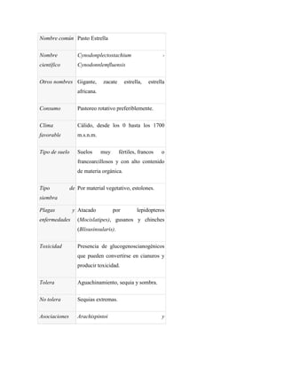 Nombre común Pasto Estrella


Nombre             Cynodonplectostachium                      -
científico         Cynodonnlemfluensis


Otros nombres Gigante,         zacate      estrella,   estrella
                   africana.


Consumo            Pastoreo rotativo preferiblemente.


Clima              Cálido, desde los 0 hasta los 1700
favorable          m.s.n.m.


Tipo de suelo      Suelos      muy      fértiles, francos    o
                   francoarcillosos y con alto contenido
                   de materia orgánica.


Tipo            de Por material vegetativo, estolones.
siembra

Plagas           y Atacado           por         lepidopteros
enfermedades       (Mocislatipes), gusanos y chinches
                   (Blisusinsularis).


Toxicidad          Presencia de glucogenoscianogénicos
                   que pueden convertirse en cianuros y
                   producir toxicidad.


Tolera             Aguachinamiento, sequia y sombra.


No tolera          Sequias extremas.


Asociaciones       Arachispintoi                             y
 