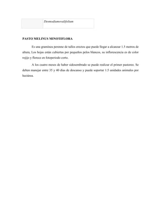 Desmodiumovalifolium




PASTO MELINUS MINOTIFLORA

       Es una gramínea perenne de tallos erectos que puede llegar a alcanzar 1.5 metros de
altura, Los hojas están cubiertas por pequeños pelos blancos, su inflorescencia es de color
rojijo y florece en fotoperiodo corto.

       A los cuatro meses de haber sidosembrado se puede realizar el primer pastoreo. Se
deben manejar entre 35 y 40 días de descanso y puede soportar 1.5 unidades animales por
hectárea.
 