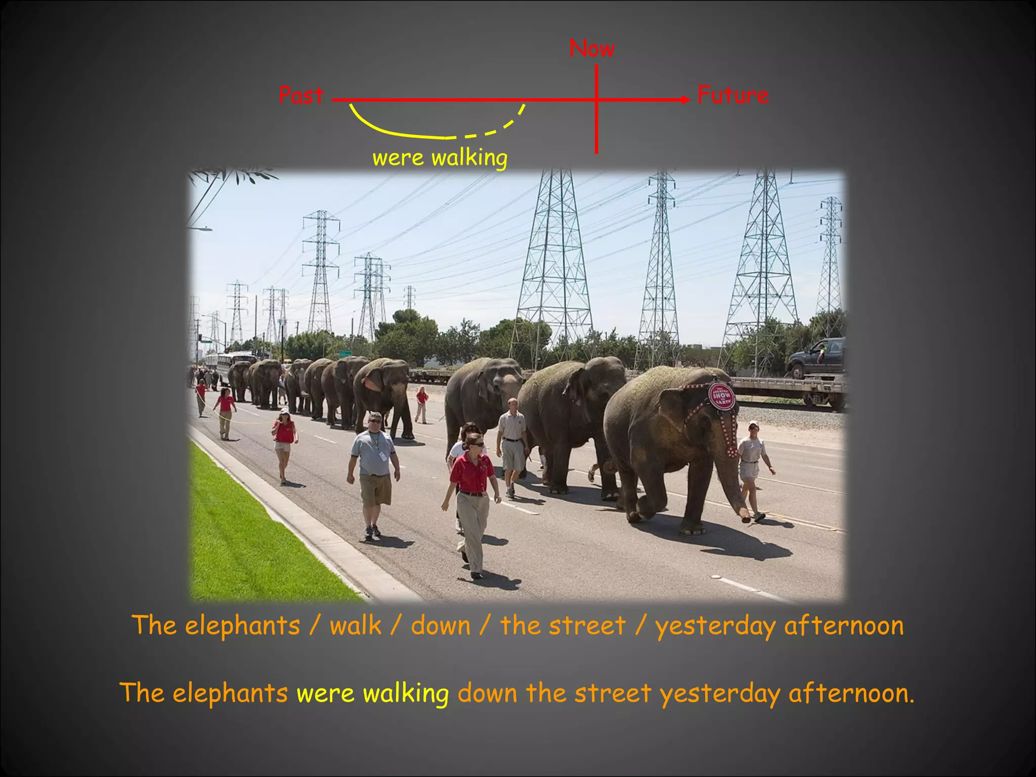 Past Now Future were walking The elephants / walk / down / the street / yesterday afternoon The elephants  were walking  down the street yesterday afternoon. 