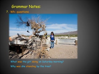 Grammar Notes: 7. Wh- questions What  was  the girl  doing  on Saturday morning? Why  was  she  standing  by the tree? 