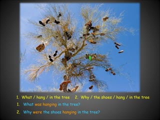 1.  What / hang / in the tree 2.  Why / the shoes / hang / in the tree 1. What  was   hanging  in the tree? 2. Why  were  the shoes  hanging  in the tree? 