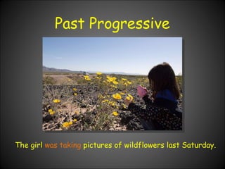 Past Progressive The girl  was taking  pictures of wildflowers last Saturday. 