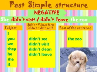 Past Simple structure
Subject
She didn’t visit / didn’t leave the zoo
didn’t + V. base form
(didn’t = did + not) Rest of the sentence
I
you
we
they
he
she
it
didn’t see
didn’t visit
didn’t clean
didn’t leave
the zoo
NEGATIVE
 