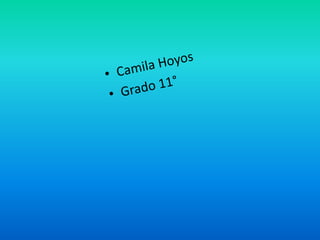 Camila Hoyos Grado 11° 