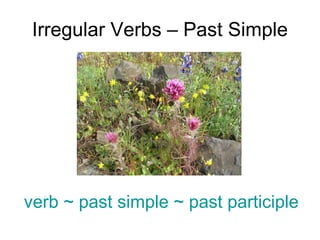 Irregular Verbs – Past Simple verb ~ past simple ~ past participle 