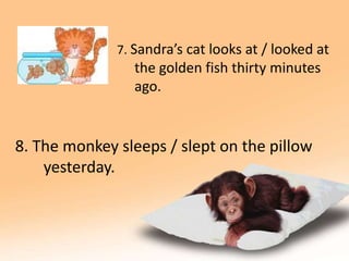 8. The monkey sleeps / slept on the pillow 
yesterday. 
7. Sandra’s cat looks at / looked at 
the golden fish thirty minutes 
ago. 
 