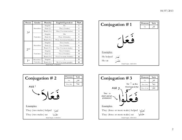 Shariah Program Login