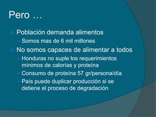 Pero … 
 Población demanda alimentos 
 Somos mas de 6 mil millones 
 No somos capaces de alimentar a todos 
 Honduras no suple los requerimientos 
mínimos de calorías y proteína 
 Consumo de proteína 57 gr/persona/día 
 País puede duplicar producción si se 
detiene el proceso de degradación 
 