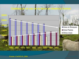 Cambios en el uso de la tierra en América Central 
Fuente:(FAO, 2004) 
30000 
25000 
20000 
15000 
10000 
5000 
0 
1962 1967 1972 1977 1982 1987 1992 1997 2002 
Area en Bosques 
Area Pastos 
Otros Usos 
Fuente: FAOSTAT, 2004 
 