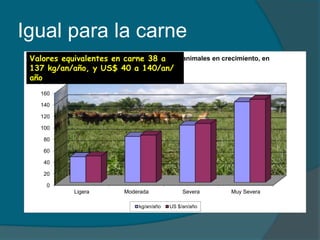 Igual para la carne 
Valores equivalentes en carne 38 a 
137 kg/an/año, y US$ 40 a 140/an/ 
año 
160 
140 
120 
100 
80 
60 
40 
20 
0 
Pérdidas por degradación de pasturas en animales en crecimiento, en 
El Chal Petén 
Ligera Moderada Severa Muy Severa 
kg/an/año US $/an/año 
 