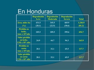 En Honduras 
Degradación 
Leve 
Degradación 
Moderada 
Degradación 
Severa Total 
Área, miles ha 
(%) 
431.5 
(28.1) 
345.5 
(22.5) 
469.9 
(30.6) 
1,246.9 
(81.2) 
Pérdida en 
leche, 
tons x 103/año 
105.5 189.5 399.6 694.7 
Valor pérdida 
en leche, 
US$ x 106 /año 
24.9 44.7 94.3 163.9 
Pérdida en 
carne 
tons x 103/año 
20.1 32.1 65.5 117.7 
Valor pérdida 
en carne 
US$ x 106 /año 
20.1 32.1 65.5 117.7 
 