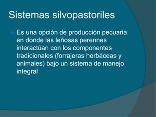 Sistemas silvopastoriles 
 Es una opción de producción pecuaria 
en donde las leñosas perennes 
interactúan con los componentes 
tradicionales (forrajeras herbáceas y 
animales) bajo un sistema de manejo 
integral 
 