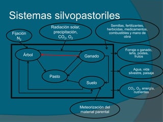 Sistemas silvopastoriles 
Árbol Ganado 
Pasto 
Suelo 
Fijación 
N2 
Radiación solar, 
precipitación, 
CO2, O2 
Semillas, fertilizantes, 
herbicidas, medicamentos, 
combustibles y mano de 
obra 
Forraje o ganado, 
leña, postes, 
frutos 
Agua, vida 
silvestre, paisaje 
CO2, O2, energía, 
nutrientes 
Meteorización del 
material parental 
 