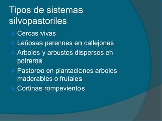 Tipos de sistemas 
silvopastoriles 
 Cercas vivas 
 Leñosas perennes en callejones 
 Arboles y arbustos dispersos en 
potreros 
 Pastoreo en plantaciones arboles 
maderables o frutales 
 Cortinas rompevientos 
 