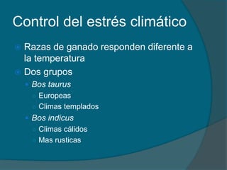 Control del estrés climático 
 Razas de ganado responden diferente a 
la temperatura 
 Dos grupos 
 Bos taurus 
○ Europeas 
○ Climas templados 
 Bos indicus 
○ Climas cálidos 
○ Mas rusticas 
 