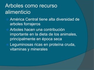 Arboles como recurso 
alimenticio 
 América Central tiene alta diversidad de 
arboles forrajeros 
 Arboles hacen una contribución 
importante en la dieta de los animales, 
principalmente en época seca 
 Leguminosas ricas en proteína cruda, 
vitaminas y minerales 
 