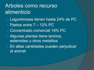 Arboles como recurso 
alimenticio 
 Leguminosas tienen hasta 24% de PC 
 Pastos entre 7 – 12% PC 
 Concentrado comercial 18% PC 
 Algunas plantas tiene taninos, 
esteroides u otros metalitos 
 En altas cantidades pueden perjudicar 
al animal 
 