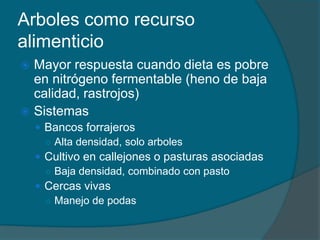 Arboles como recurso 
alimenticio 
 Mayor respuesta cuando dieta es pobre 
en nitrógeno fermentable (heno de baja 
calidad, rastrojos) 
 Sistemas 
 Bancos forrajeros 
○ Alta densidad, solo arboles 
 Cultivo en callejones o pasturas asociadas 
○ Baja densidad, combinado con pasto 
 Cercas vivas 
○ Manejo de podas 
 