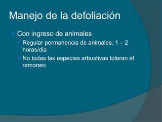 Manejo de la defoliación 
 Con ingreso de animales 
 Regular permanencia de animales, 1 – 2 
horas/dia 
 No todas las especies arbustivas toleran el 
ramoneo 
 