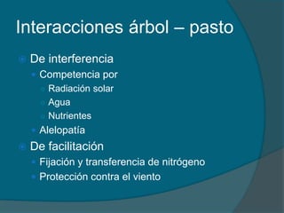 Interacciones árbol – pasto 
 De interferencia 
 Competencia por 
○ Radiación solar 
○ Agua 
○ Nutrientes 
 Alelopatía 
 De facilitación 
 Fijación y transferencia de nitrógeno 
 Protección contra el viento 
 