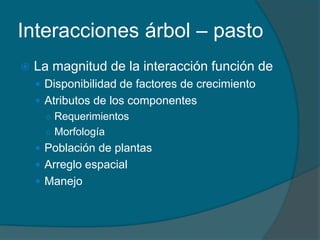 Interacciones árbol – pasto 
 La magnitud de la interacción función de 
 Disponibilidad de factores de crecimiento 
 Atributos de los componentes 
○ Requerimientos 
○ Morfología 
 Población de plantas 
 Arreglo espacial 
 Manejo 
 