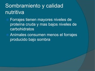 Sombramiento y calidad 
nutritiva 
 Forrajes tienen mayores niveles de 
proteína cruda y mas bajos niveles de 
carbohidratos 
 Animales consumen menos el forrajes 
producido bajo sombra 
 