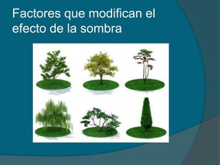 Factores que modifican el 
efecto de la sombra 
 