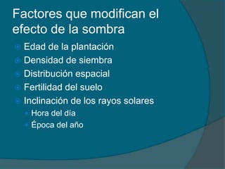 Factores que modifican el 
efecto de la sombra 
 Edad de la plantación 
 Densidad de siembra 
 Distribución espacial 
 Fertilidad del suelo 
 Inclinación de los rayos solares 
 Hora del día 
 Época del año 
 