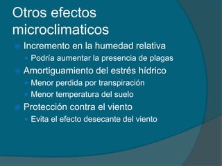 Otros efectos 
microclimaticos 
 Incremento en la humedad relativa 
 Podría aumentar la presencia de plagas 
 Amortiguamiento del estrés hídrico 
 Menor perdida por transpiración 
 Menor temperatura del suelo 
 Protección contra el viento 
 Evita el efecto desecante del viento 
 