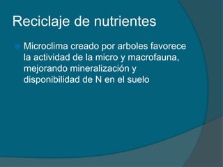 Reciclaje de nutrientes 
 Microclima creado por arboles favorece 
la actividad de la micro y macrofauna, 
mejorando mineralización y 
disponibilidad de N en el suelo 
 