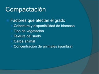 Compactación 
 Factores que afectan el grado 
 Cobertura y disponibilidad de biomasa 
 Tipo de vegetación 
 Textura del suelo 
 Carga animal 
 Concentración de animales (sombra) 
 