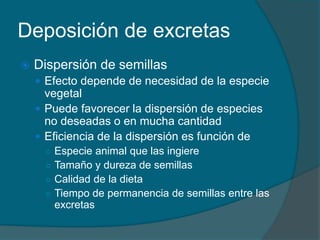Deposición de excretas 
 Dispersión de semillas 
 Efecto depende de necesidad de la especie 
vegetal 
 Puede favorecer la dispersión de especies 
no deseadas o en mucha cantidad 
 Eficiencia de la dispersión es función de 
○ Especie animal que las ingiere 
○ Tamaño y dureza de semillas 
○ Calidad de la dieta 
○ Tiempo de permanencia de semillas entre las 
excretas 
 