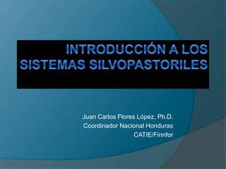 Juan Carlos Flores López, Ph.D. 
Coordinador Nacional Honduras 
CATIE/Finnfor 
 