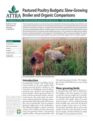 Pastured Poultry Budgets: Slow-Growing
                                           Broiler and Organic Comparisons
   A Publication of ATTRA – National Sustainable Agriculture Information Service • 1-800-346-9140 • www.attra.ncat.org

By Betsy Conner                            Pastured poultry producers are becoming more interested in raising slow-growing meat chickens and
NCAT Research                              using organic production practices. Slow-growing meat chickens are an appropriate choice for pastured
Specialist                                 systems, and transition to organic is an option since the birds have outdoor access. Pastured systems that
© 2010 NCAT                                use slower-growing breeds and are certified organic are more expensive than the typical system raising
                                           fast-growing Cornish-Cross breeds under traditional practices, so it is important to analyze and compare
                                           the costs and potential profits in each approach. This publication offers comparison budgets for raising
                                           both fast-growing and slow-growing birds on pasture, under both organic and non-organic systems.



Contents
Introduction ......................1
Slow-growing birds ........1
Organic................................2
Budgets...............................2
Budget Details ..................4
Large-scale
Production .........................6




                                           Slow-growing broilers on pasture. Photo by Katie Short.

                                           Introduction                                              slow-growing organic broilers. The budgets
                                                                                                     give an idea of the differences in cost among
                                           Fast-growing Cornish- and White Rock-
                                                                                                     the systems.
                                           Cross broilers are the most popular birds
                                           among pastured poultry producers, but
                                           Americans are developing a taste for slower-              Slow-growing birds
                                           growing meat chickens and organically                     A slow-growing meat bird is defined in
                                           raised poultry. Slower-growing birds are                  this budget as one that requires 12 weeks
                                           better suited to pastured systems, and pas-               to reach live harvest weight of 6.5 pounds.
ATTRA – National Sustainable
Agriculture Information Service            tured systems also easily make the transi-                The fast-growing birds take only eight weeks
(www.ncat.attra.org) is managed            tion to organic production. Raising a slower-             to reach the same weight. There are several
by the National Center for Appro-
priate Technology (NCAT) and is            growing meat bird organically will increase               slow-growing as well as medium-growing
funded under a grant from the              the costs of production, but the products                 birds available that will reach the desired
United States Department of
Agriculture’s Rural Business-              demand a higher price at the marketplace.                 harvest weight in from nine to 12 weeks.
Cooperative Service. Visit the             The following budgets compare pastured                    The hatchery should be able to tell you the
NCAT Web site (www.ncat.org/
sarc_current.php) for                      systems that employ on-farm processing                    number of weeks it takes the birds to reach
more information on                        using fast-growing broilers, fast-growing                 harvest weight, and this will help you adapt
our sustainable agri-
culture projects.                          organic broilers, slow-growing broilers and               the budget to your production system.
 