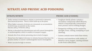 Nitrate Rumen PastureHealthProblemsV | PPTX