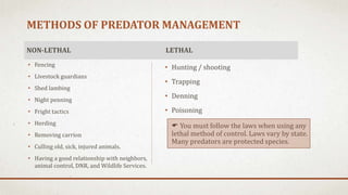 METHODS OF PREDATOR MANAGEMENT
NON-LETHAL
• Fencing
• Livestock guardians
• Shed lambing
• Night penning
• Fright tactics
• Herding
• Removing carrion
• Culling old, sick, injured animals.
• Having a good relationship with neighbors,
animal control, DNR, and Wildlife Services.
LETHAL
• Hunting / shooting
• Trapping
• Denning
• Poisoning
 You must follow the laws when using any
lethal method of control. Laws vary by state.
Many predators are protected species.
 