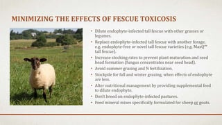 PastureHealthProblemsV | PPTX