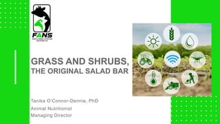 Tanika O’Connor-Dennie, PhD
Animal Nutritionist
Managing Director
GRASS AND SHRUBS,
THE ORIGINAL SALAD BAR
 
